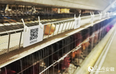 都得益于�����化设备和手艺